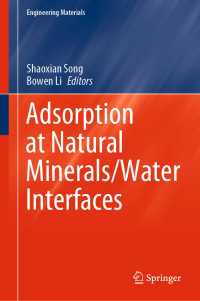 Adsorption at Natural Minerals/Water Interfaces