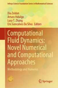 Computational Fluid Dynamics: Novel Numerical and Computational Approaches : Methodology and Numerics