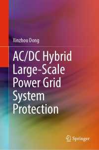 AC/DC Hybrid Large-Scale Power Grid System Protection