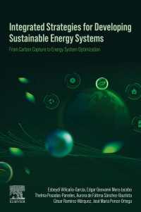 Integrated Strategies for Developing Sustainable Energy Systems : From Carbon Capture to Energy System Optimization