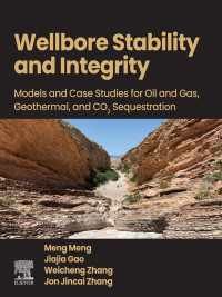Wellbore Stability and Integrity : Models and Case Studies for Oil and Gas, Geothermal, and CO2 Sequestration