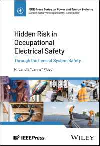 職業電気安全の隠れたリスク<br>Hidden Risk in Occupational Electrical Safety : Through the Lens of System Safety