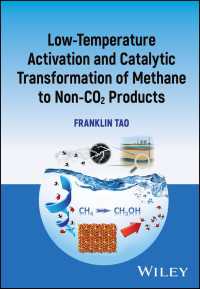メタンの低温活性化と非二酸化炭素製品への触媒反応変換<br>Low-temperature Activation and Catalytic Transformation of Methane to Non-CO2 Products