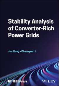 Stability Analysis of Converter-Rich Power Grids
