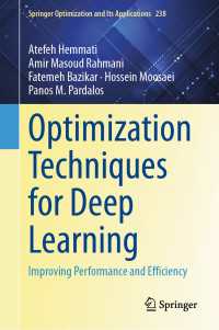 深層学習のための最適化技術<br>Optimization Techniques for Deep Learning : Improving Performance and Efficiency