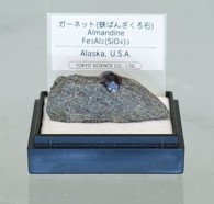 MM149   ガーネット　（鉄ばん柘榴石）母岩付 ( 産地　アメリカ、アラスカ)