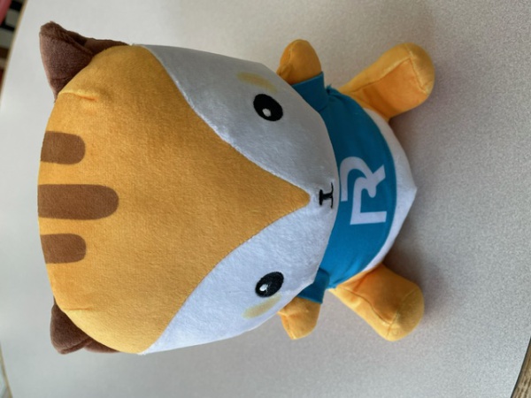 【立正大学キャンパスグッズ】　新モラりす ぬいぐるみ（大）_1