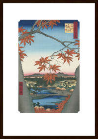 真間の紅葉手古那の杜継はし