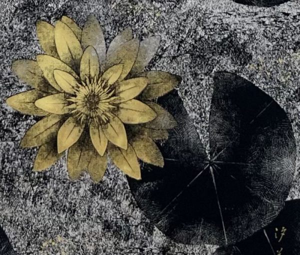 【掛軸】水鏡睡蓮_2