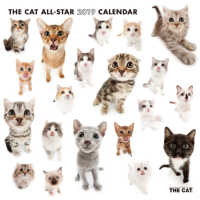THE CAT ALL-STAR
