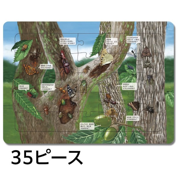はっけんパズル（むし）_3