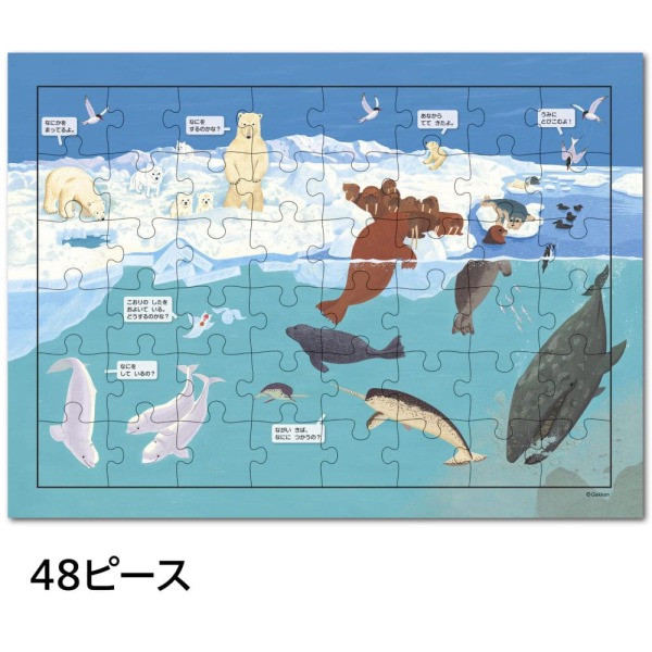 はっけんパズル（うみ）_2