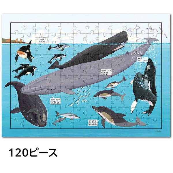 はっけんパズル（うみ）_4