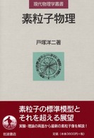 素粒子物理 現代物理学叢書