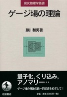 ゲージ場の理論 現代物理学叢書