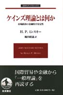 ケインズ理論とは何か - 市場経済の金融的不安定性 岩波モダンクラシックス