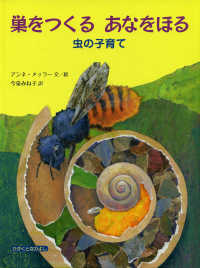 巣をつくるあなをほる - 虫の子育て 大型絵本