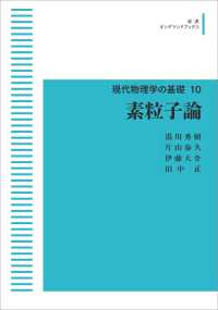 ＯＤ＞素粒子論 岩波オンデマンドブックス　現代物理学の基礎　１０