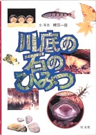 川底の石のひみつ 旺文社ジュニア・ノンフィクション
