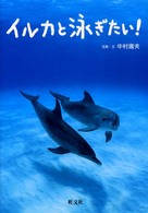 イルカと泳ぎたい！ 旺文社ジュニア・ノンフィクション