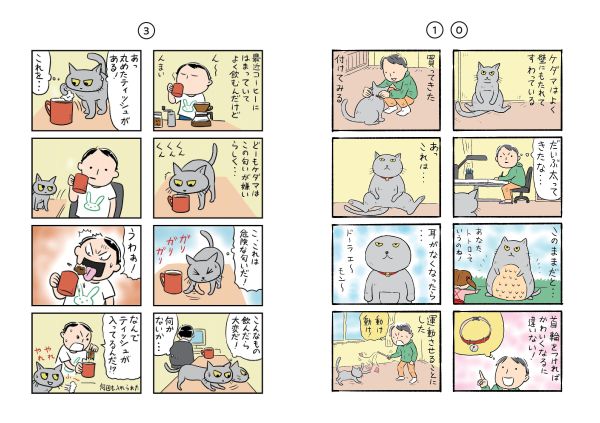 コロコロ毛玉日記_3