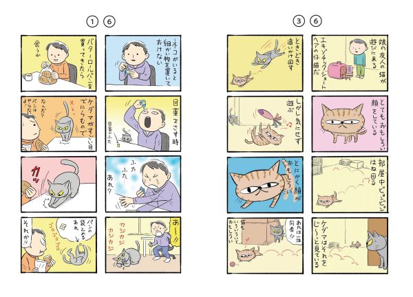 コロコロ毛玉日記_4