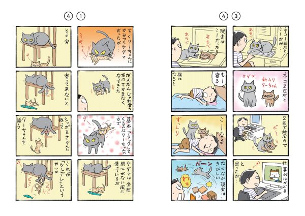 コロコロ毛玉日記_5