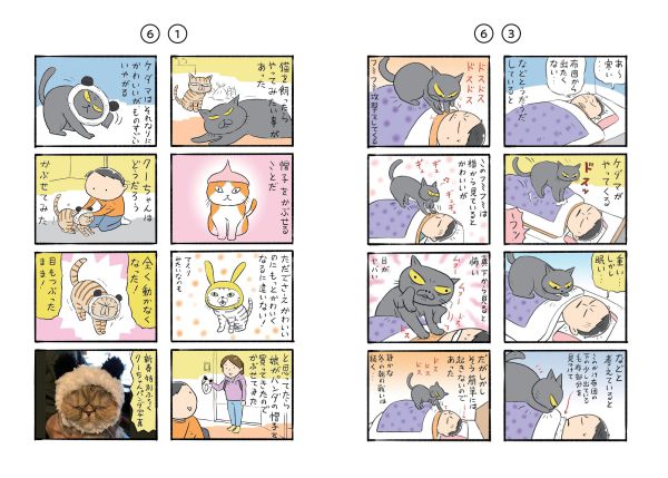 コロコロ毛玉日記_6
