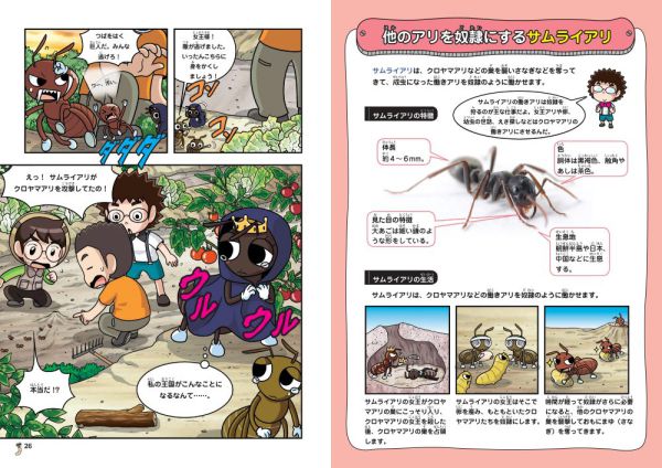 かがくるＢＯＯＫ　科学漫画いきもの観察シリーズ<br> ドクターエッグ〈８〉アリ・チョウ・ガ・ゴキブリ_5