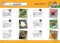 かがくるＢＯＯＫ　科学漫画いきもの観察シリーズ<br> ドクターエッグ〈８〉アリ・チョウ・ガ・ゴキブリ_s7