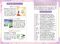 Ｃ　ＳＣＨＯＯＬ　ＳＴＵＤＹ<br> はじめての源氏物語―まんがでＳＴＵＤＹ　Ｃ　ＳＣＨＯＯＬ　ＳＴＵＤＹ_s7