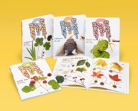 せんせい！これなあに？（全4巻セット） - 紀伊國屋書店ウェブ