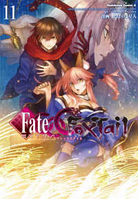 Ｋａｄｏｋａｗａ　Ｃｏｍｉｃｓ　Ａ<br> フェイト／エクストラＣＣＣ　ＦｏｘＴａｉｌ 〈１１〉