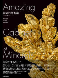 驚異の標本箱　‐鉱物‐