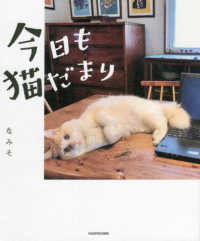 今日も猫だまり