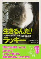 生きるんだ！ラッキー - 山火事で生きのこったコアラの物語 動物感動ノンフィクション