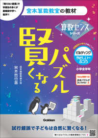 賢くなるパズル　ビルディング・やさしい～ふつう 宮本算数教室の教材　算数センスシリーズ