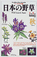 日本の野草 〈秋〉 フィールドベスト図鑑