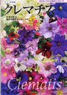 クレマチス - 品種早わかり 色分け花図鑑