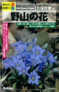 野山の花 - 生きもの出会い図鑑