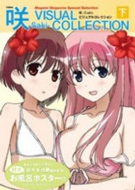Ｍｅｇａｍｉ　Ｍａｇａｚｉｎｅ　Ｓｐｅｃｉａｌ　Ｓｅｌｅｃｔ<br> 咲－Ｓａｋｉ－ビジュアルコレクション 〈下〉