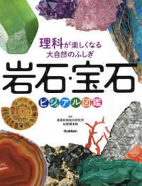 岩石・宝石ビジュアル図鑑 理科が楽しくなる大自然のふしぎ