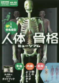 人体骨格ミュージアム - 光る１／６骨格模型 ［バラエティ］　科学と学習ＰＲＥＳＥＮＴＳ