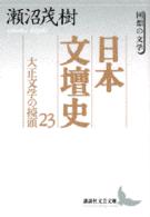 日本文壇史 〈２３〉 大正文学の擡頭 講談社文芸文庫
