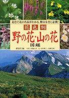 〈花色別〉野の花・山の花図鑑 - 花色で花の名前がわかる、野山歩きに必携！