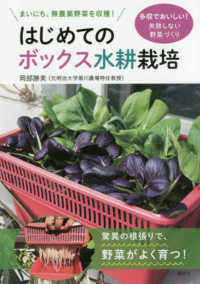 はじめてのボックス水耕栽培 - まいにち、無農薬野菜を収穫！