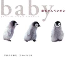 赤ちゃんペンギン