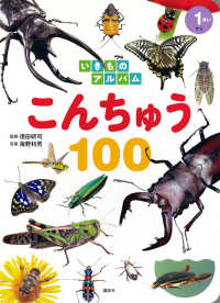 こんちゅう１００ 講談社のアルバムシリーズ　いきものアルバム