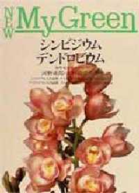 シンビジウム・デンドロビウム Ｎｅｗ　ｍｙ　ｇｒｅｅｎ