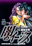 闇のイージス 〈１３〉 ヤングサンデーコミックス